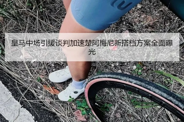 皇马中场引援谈判加速楚阿梅尼新搭档方案全面曝光